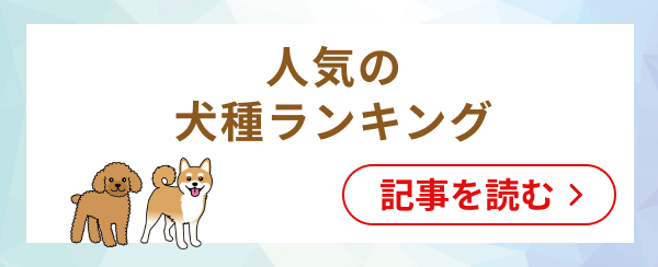 ペットも熱中症には要注意！