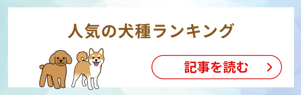 ペットも熱中症には要注意！