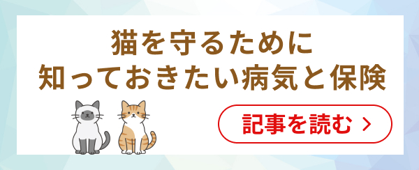 ペットも熱中症には要注意！