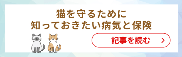 ペットも熱中症には要注意！