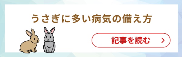 ペットも熱中症には要注意！