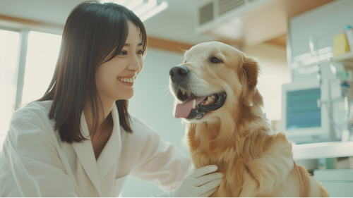 なぜ見直しが必要なのか