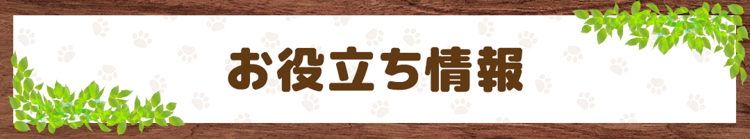 ペット保険の選び方のヒント