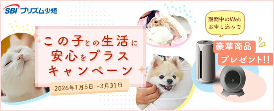 キャンペーン画像