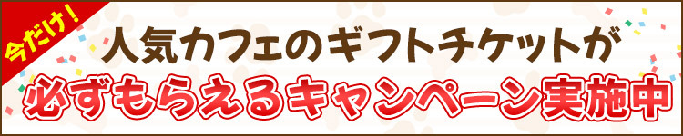 キャンペーン実施中