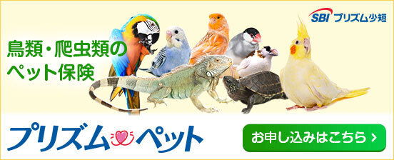 鳥類・爬虫類のペット保険　プリズムペット