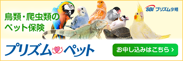鳥類・爬虫類のペット保険　プリズムペット