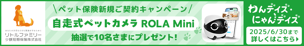 キャンペーン画像