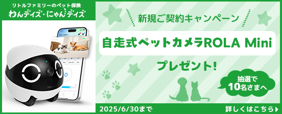 キャンペーン画像