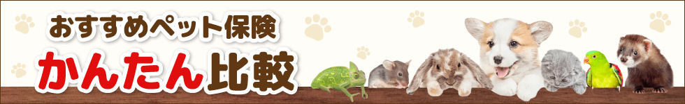 おすすめペット保険簡単比較