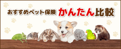 おすすめペット保険簡単比較