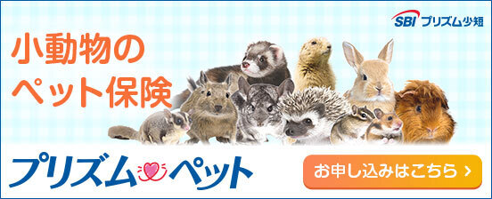 小動物のペット保険　プリズムペット