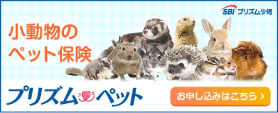 小動物のペット保険　プリズムペット