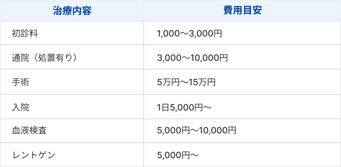 うさぎの治療費はどれくらい？うさぎの診療の目安