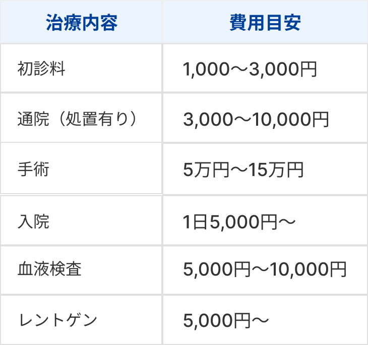 うさぎの治療費はどれくらい？うさぎの診療の目安