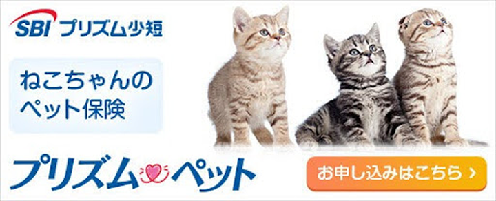 猫ちゃんのペット保険　プリズムペット
