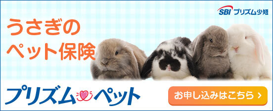 猫ちゃんのペット保険　プリズムペット