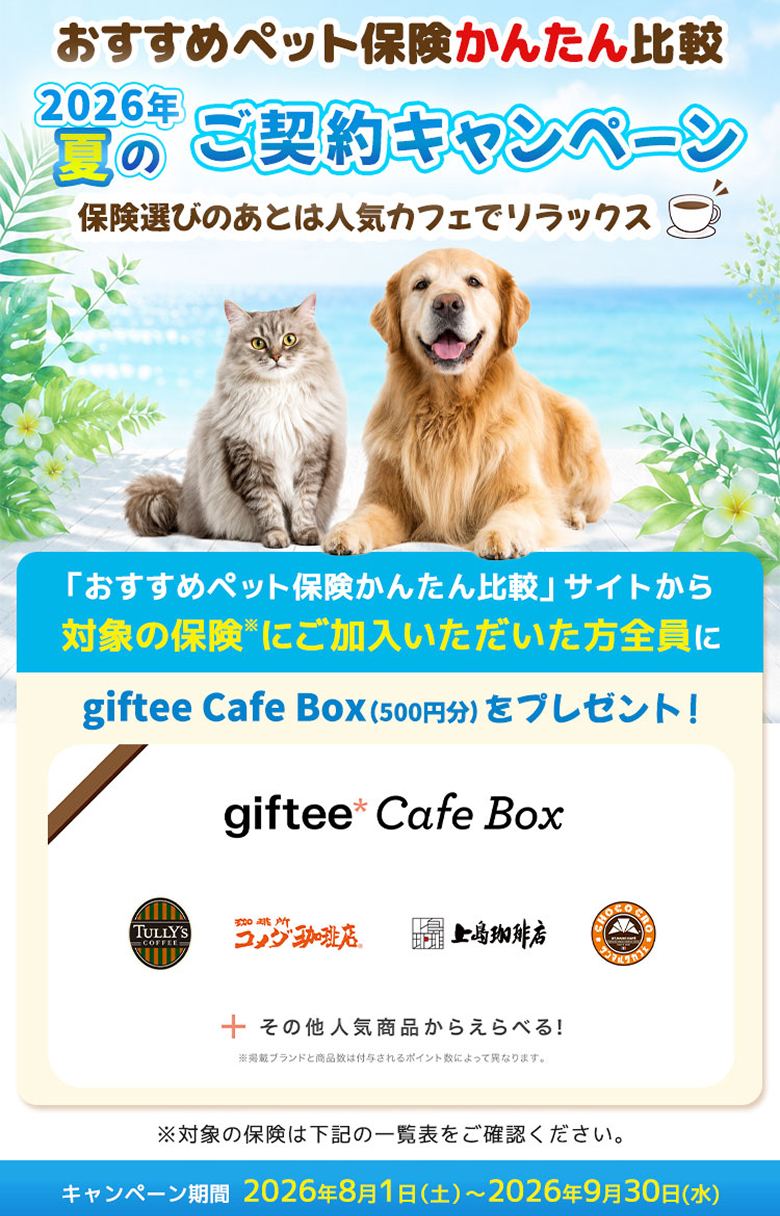 ペット保険の選び方のヒント