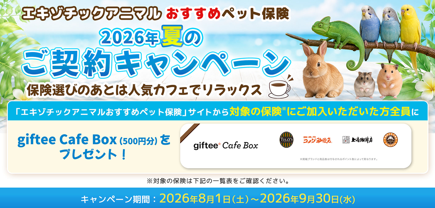 ペット保険の選び方のヒント