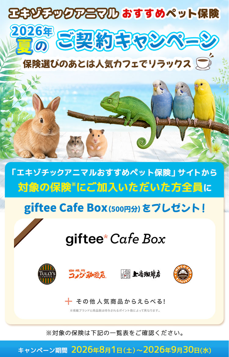 ペット保険の選び方のヒント