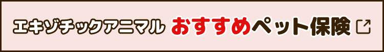 エキゾチックアニマル おすすめペット保険