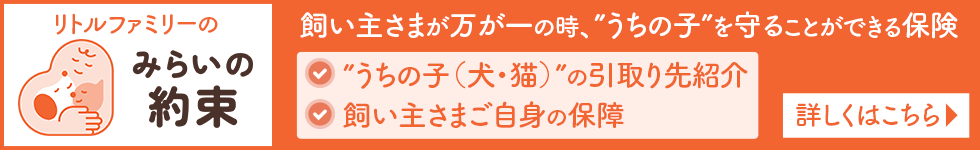 リトルファミリーみらいの約束