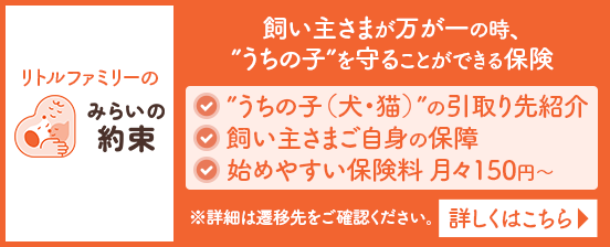 リトルファミリーみらいの約束